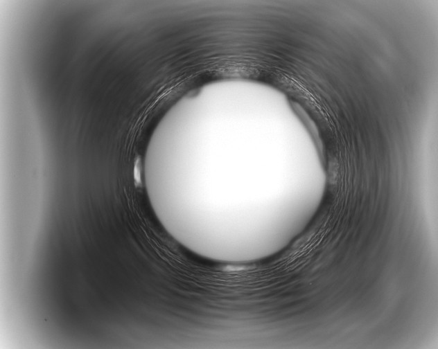 X0000098220095200804241142