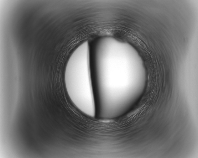 X0000098220096200804241142