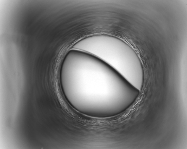 X0000098220097200804241141