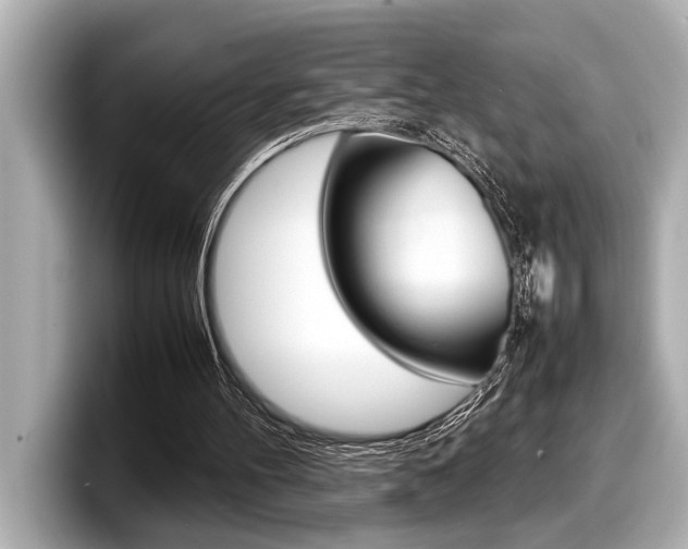 X0000098220100200804241141