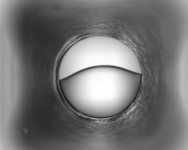 X0000098220101200804241141
