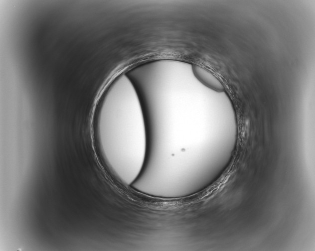 X0000098220102200804241141