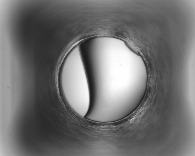 X0000098220103200804241141