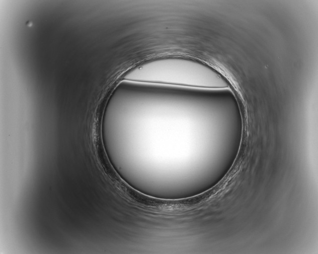 X0000098220105200804241141