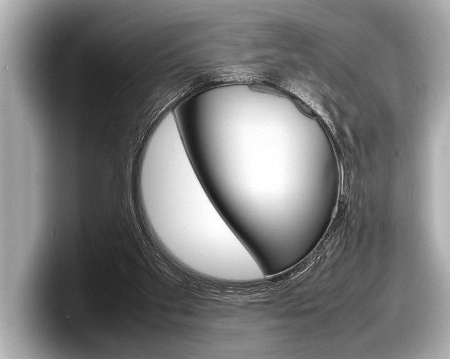 X0000098220109200804241141