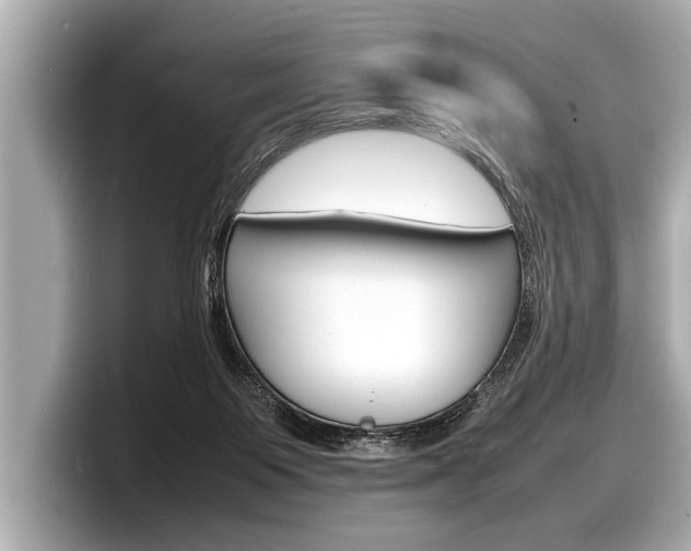 X0000098220119200804241141