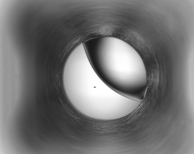 X0000098220120200804241141