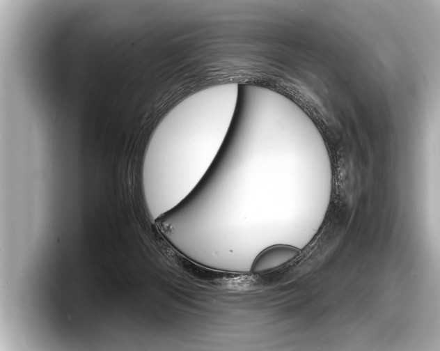 X0000098220122200804241141