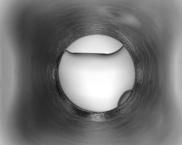 X0000098220126200804241141