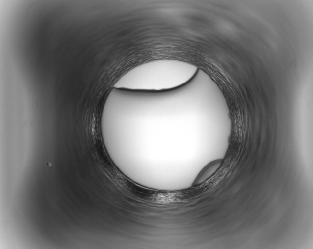 X0000098220134200804241141