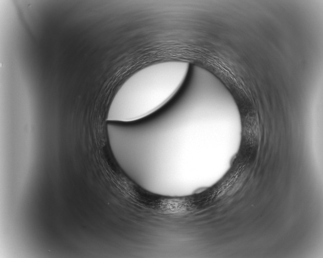 X0000098220139200804241141