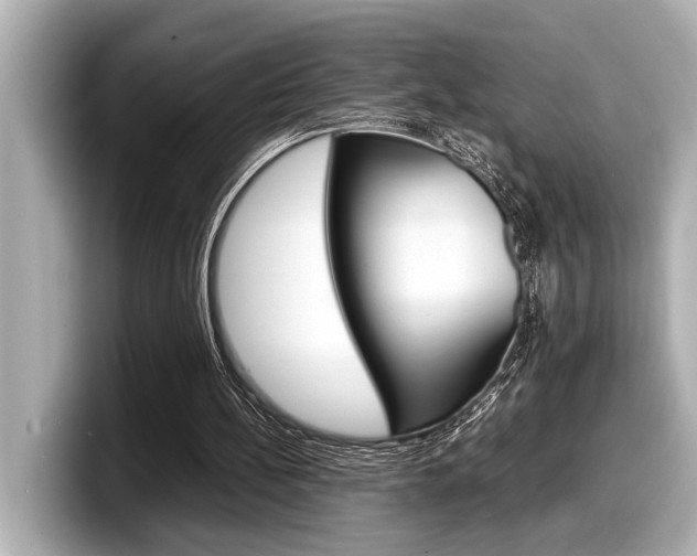X0000098220148200804241140