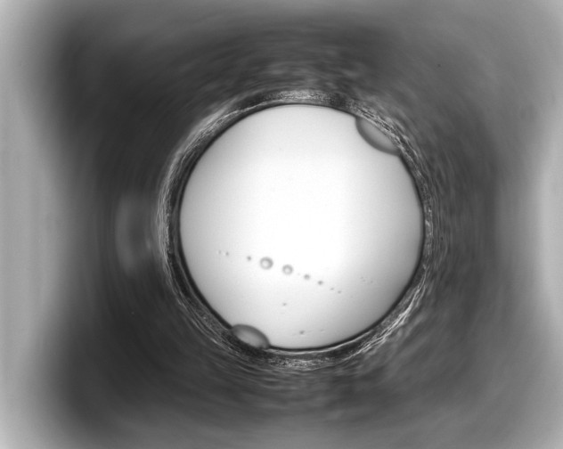 X0000098220149200804241140