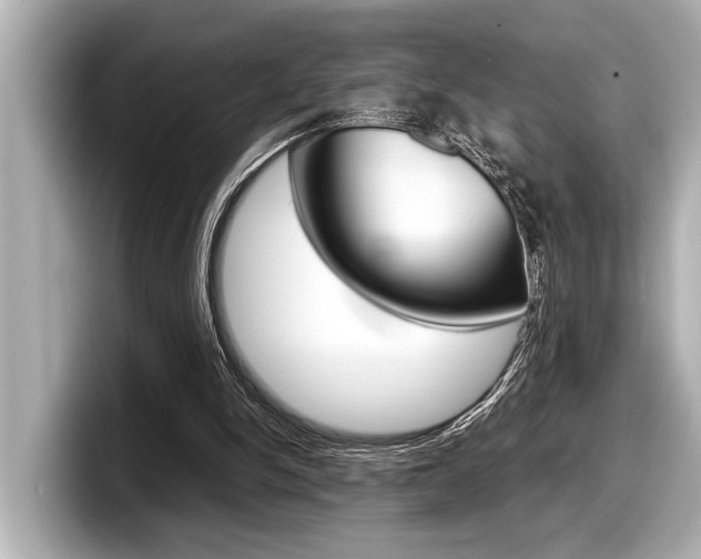 X0000098220150200804241140