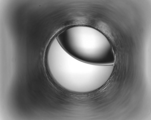 X0000098220156200804241140