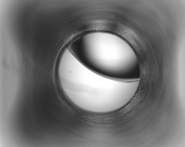 X0000098220160200804241140