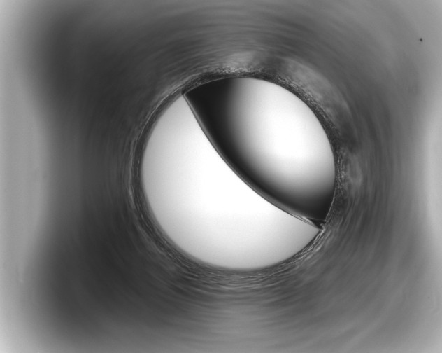 X0000098220164200804241140