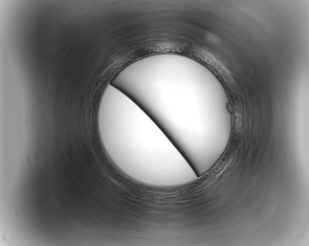 X0000098220165200804241140