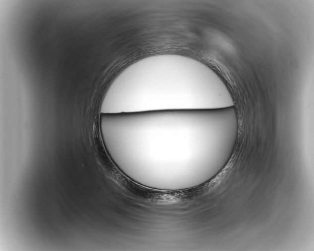 X0000098220166200804241140