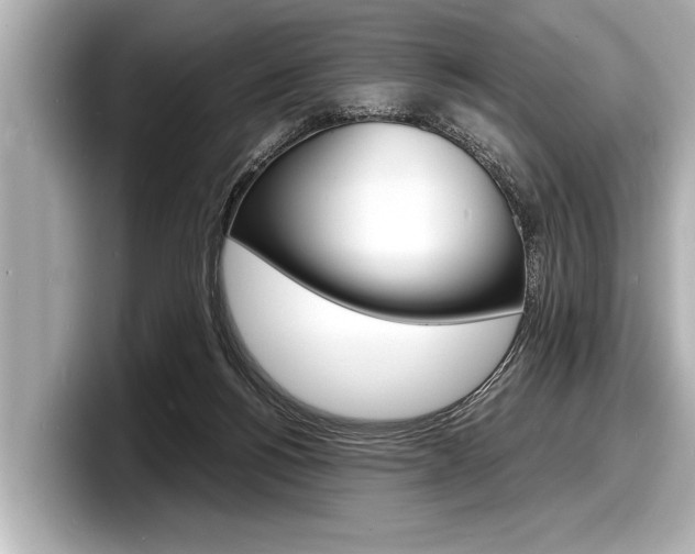 X0000098220168200804241140