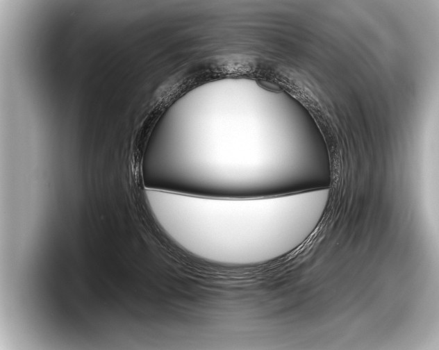 X0000098220176200804241140