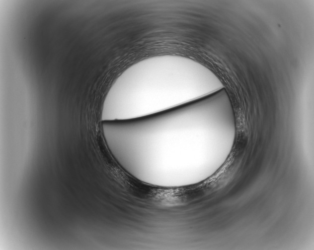 X0000098220182200804241141