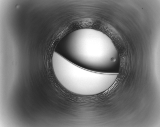 X0000098220184200804241141