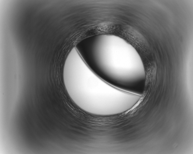 X0000098220186200804241141