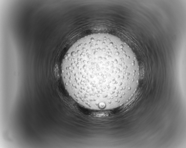 X0000098220187200804241141