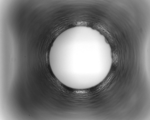 X0000098220189200804241141