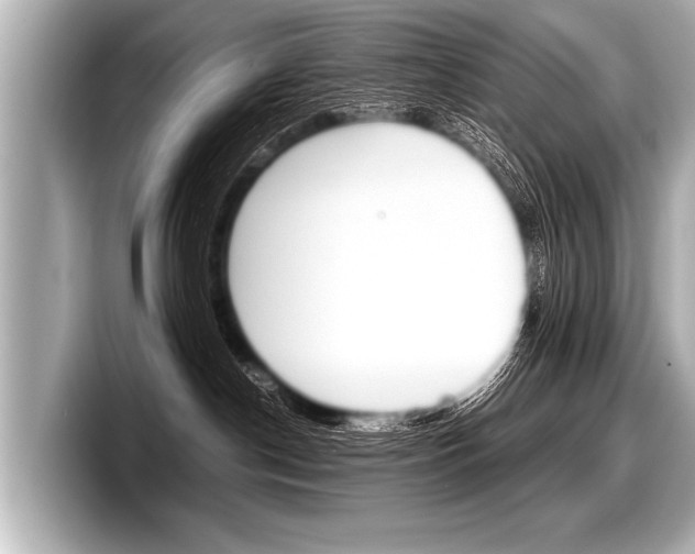 X0000098220190200804241141