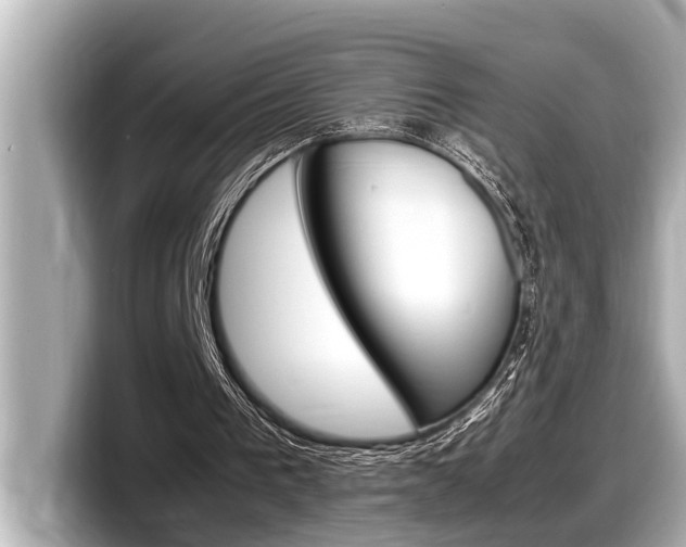 X0000098220193200804241140