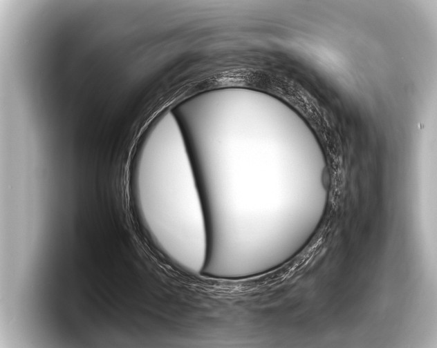 X0000098220194200804241140
