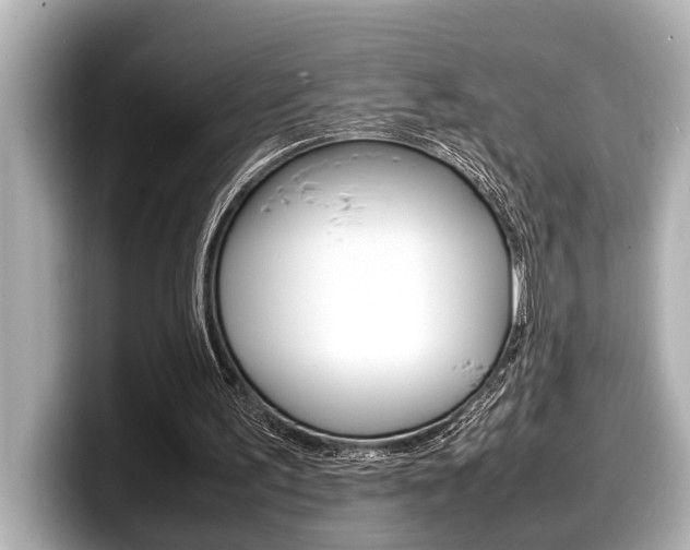 X0000098220195200804241140