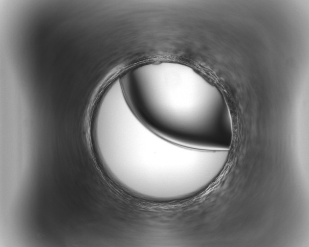 X0000098220197200804241140
