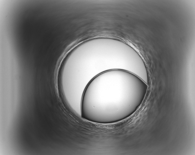 X0000098220199200804241140