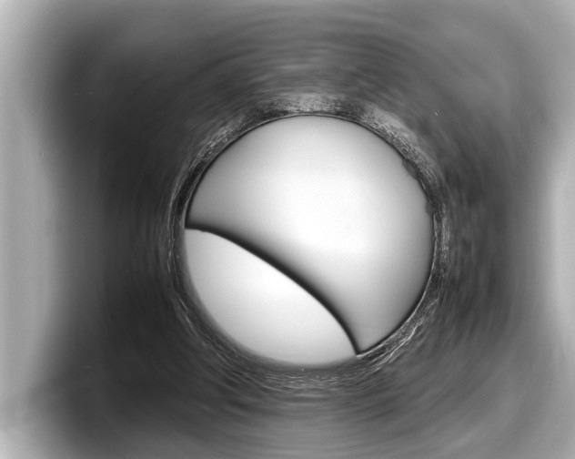 X0000098220202200804241140
