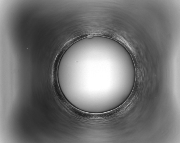 X0000098220203200804241140