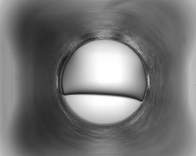 X0000098220205200804241140