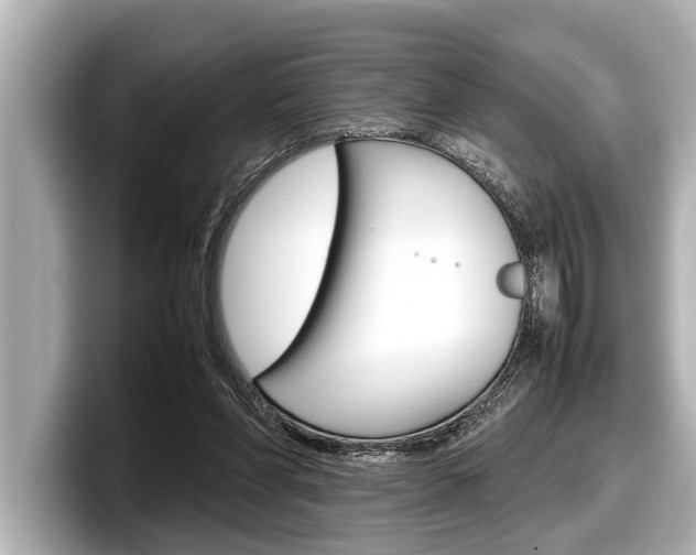 X0000098220206200804241140