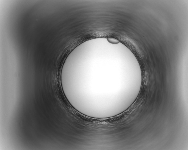 X0000098220210200804241140