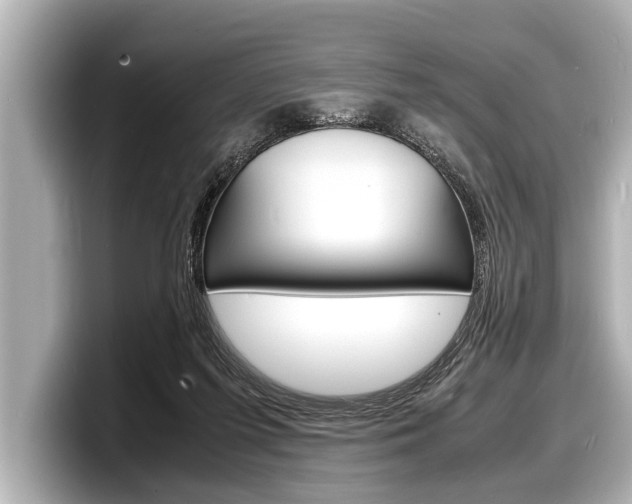 X0000098220215200804241140