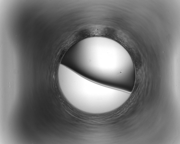 X0000098220217200804241140
