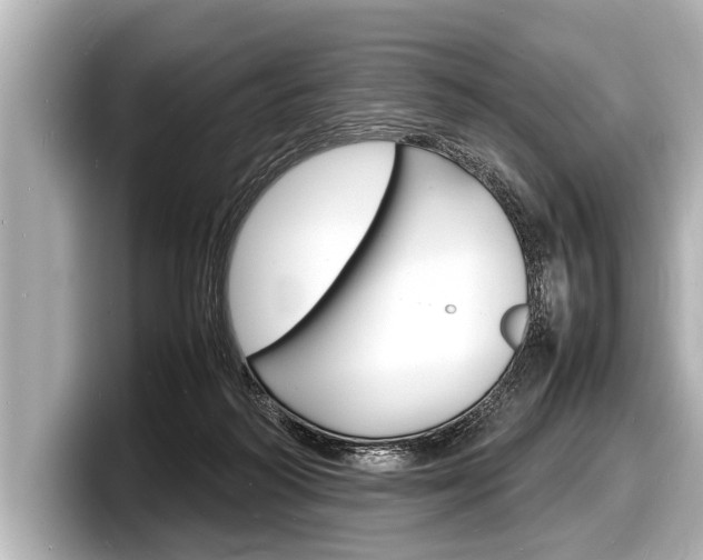 X0000098220218200804241140