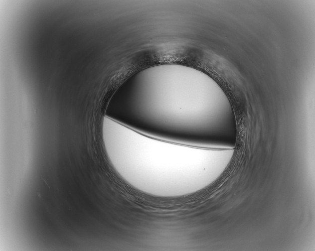 X0000098220219200804241140