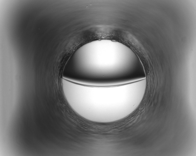 X0000098220221200804241140