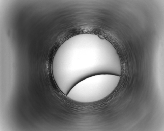 X0000098220222200804241140