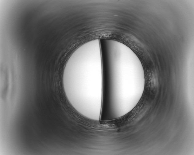 X0000098220224200804241140