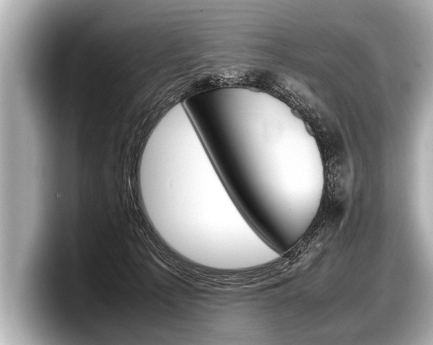 X0000098220225200804241140