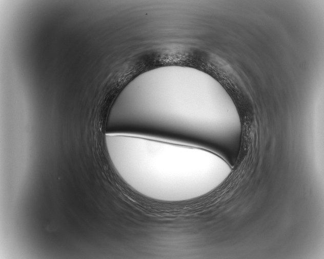 X0000098220227200804241140